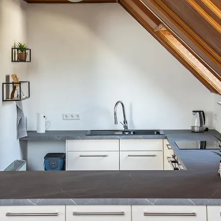 아파트 Gemuetliche Galerie-wohnung In Biberach *